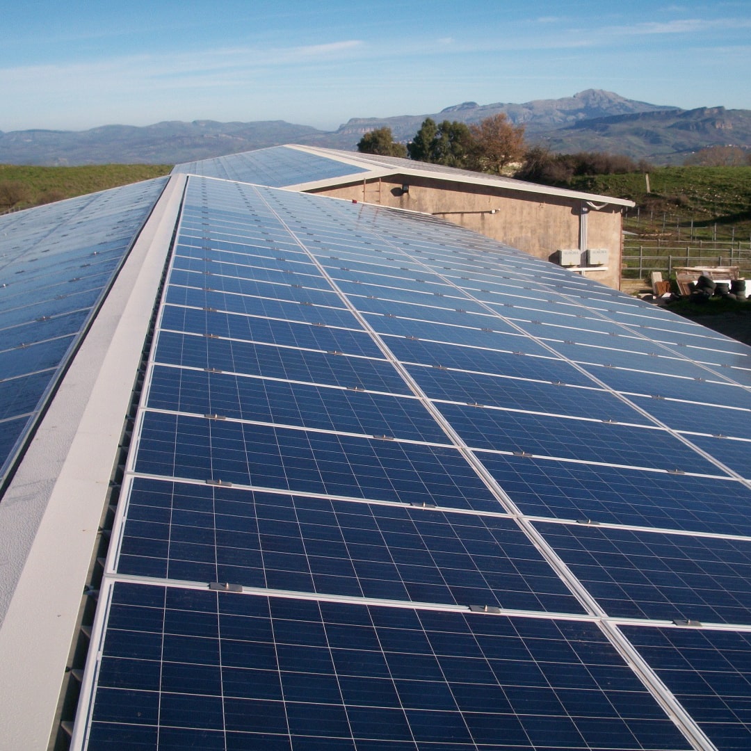 FOTOVOLTAICO_Fattoria Gorgo di Giorgio Inglese